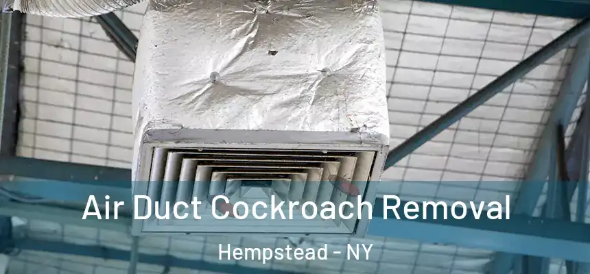 Air Duct Cockroach Removal Hempstead - NY