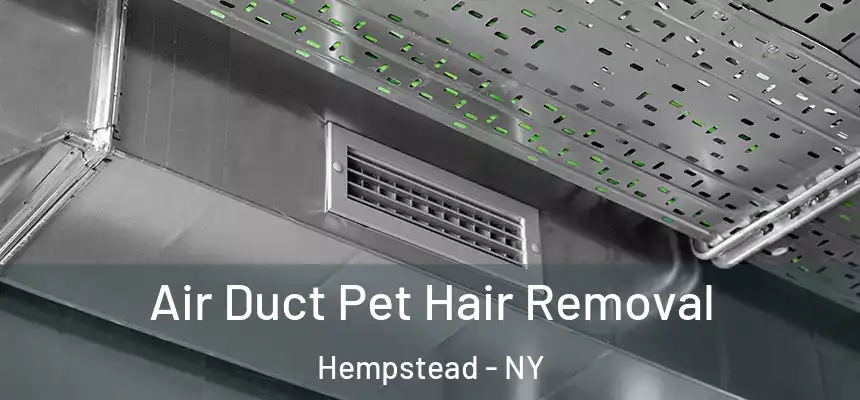  Air Duct Pet Hair Removal Hempstead - NY