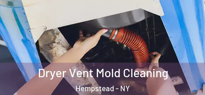  Dryer Vent Mold Cleaning Hempstead - NY