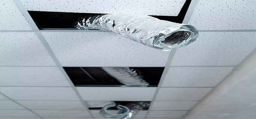 Our Air Duct Pet Hair Removal Services in Hempstead, NY