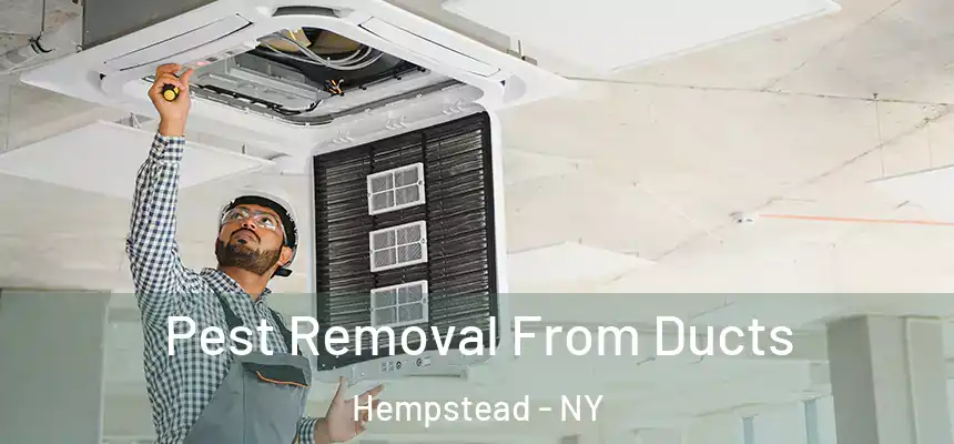 Pest Removal From Ducts Hempstead - NY