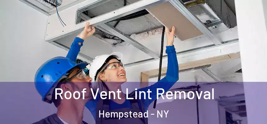 Roof Vent Lint Removal Hempstead - NY