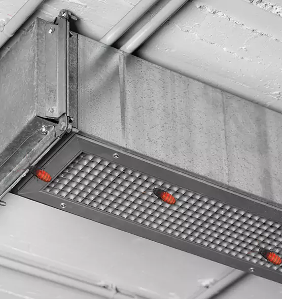 About Air Duct Cockroach Removal in Hempstead, NY
