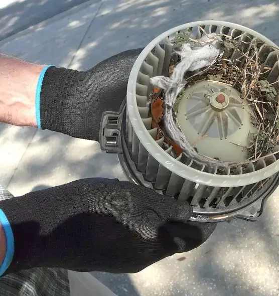 About Air Duct Mice Removal in Hempstead, NY