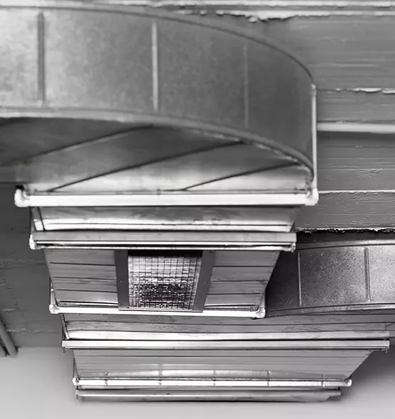 Professional Air Duct Pest Removal in Hempstead, NY