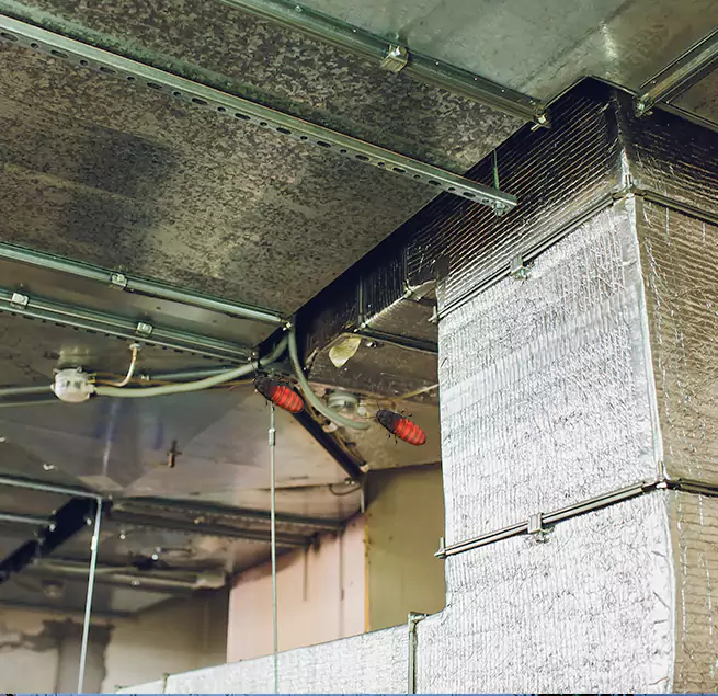 Why Homeowners & Businesses Trust Us Hempstead, NY?